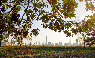 纽约城市景观与秋天彩色树