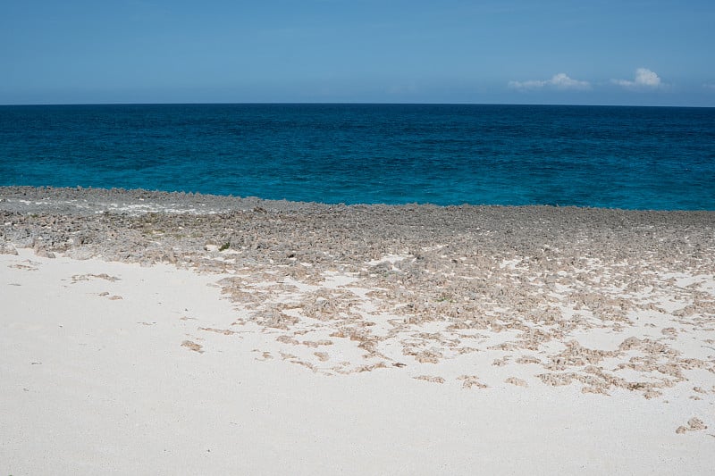 巴哈马阿巴科岛的落基海岸线