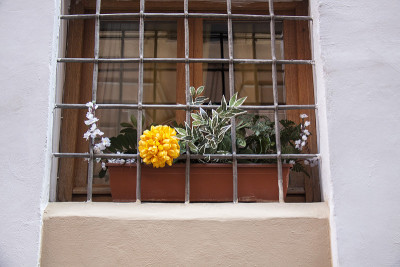 窗口和flowerbox