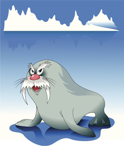 海象