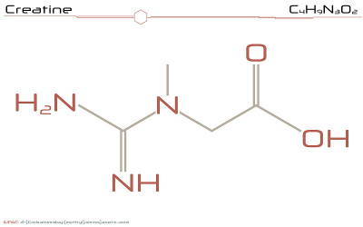 肌酸分子