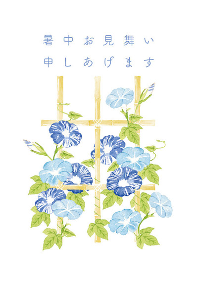 在竹架子上盛开的牵牛花。