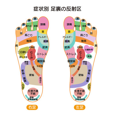 根据症状说明脚底反射区域和穴位