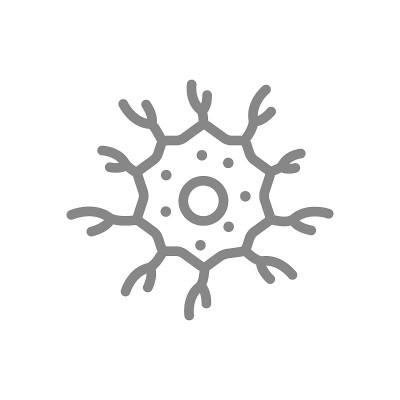 神经元行图标。健康神经细胞符号