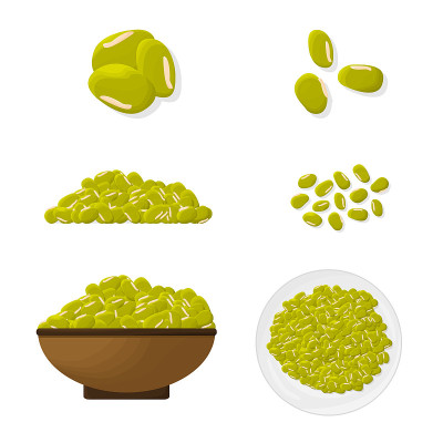 绿豆插图套装。向量。