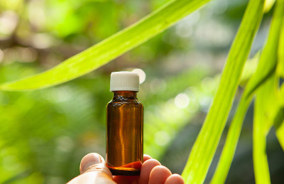 顺势疗法和草药治疗的概念。