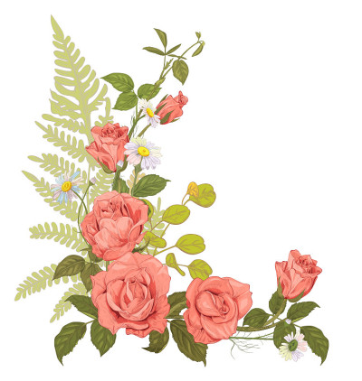 玫瑰，洋甘菊(雏菊)，花束粉红色，红色，白色的花，芽，绿色的叶子(蕨类，桉树，银元)在白色的背景，手