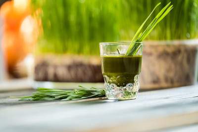 小麦草汁