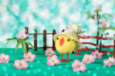 复活节小鸡玩具