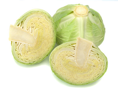 孤立在白色背景上的卷心菜