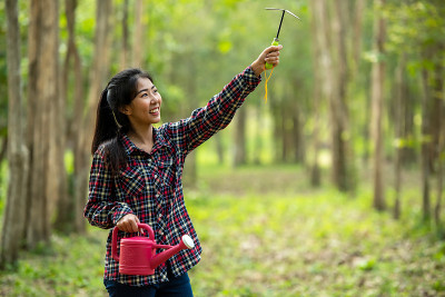 亚洲年轻女性在森林自然春天帮助植树和用幼树浇灌植物，以减少全球变暖的生长特征，爱护自然地球。