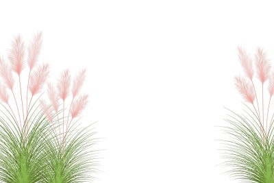 网络