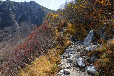 深秋的kisokomagatake山