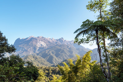 马来西亚婆罗洲山Kinabalu Sabah