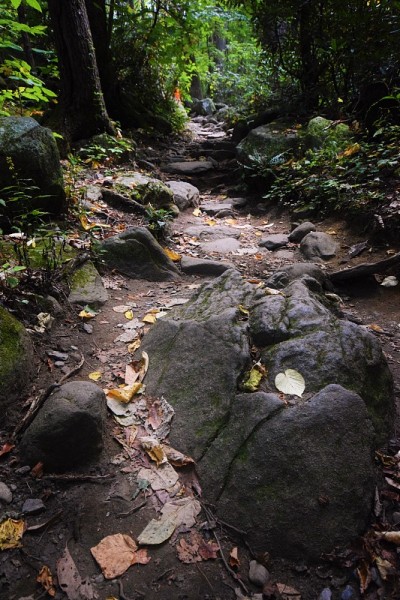拉孔特山