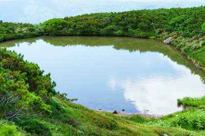 朝霞山(日本北海道最高的山)高平原上的芒津池。