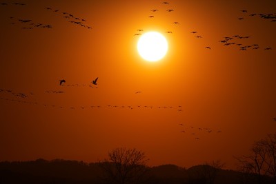 夕阳染红了宫岛沼