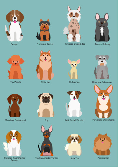 小型犬种