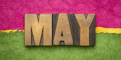 5月在木型