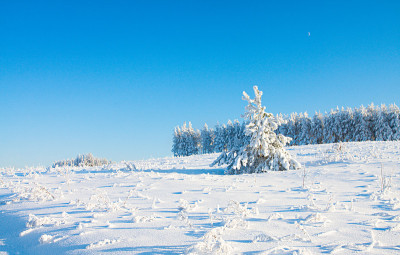 雪中的冬季公园