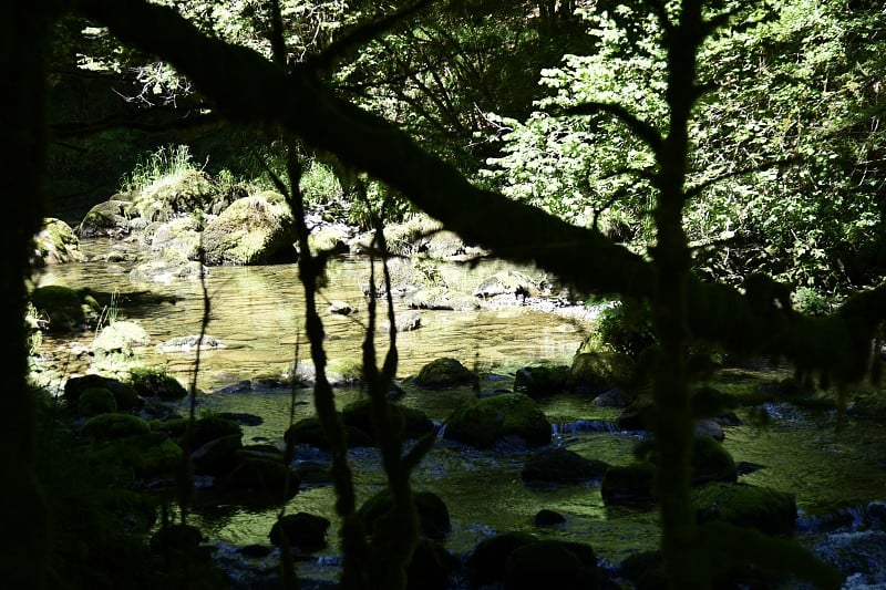 巴雷图斯山谷的夏季河流