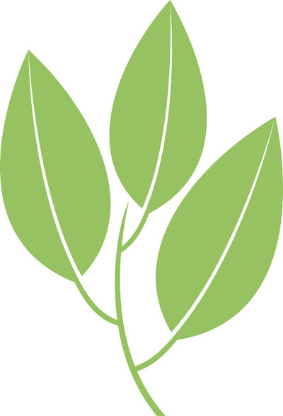 绿茶