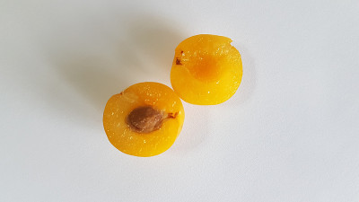 核仁西洋枣果实孤立于白色