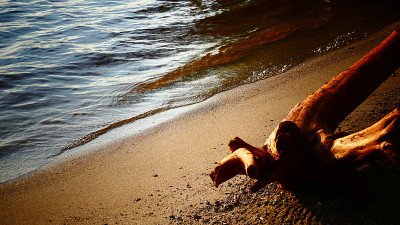 plage的