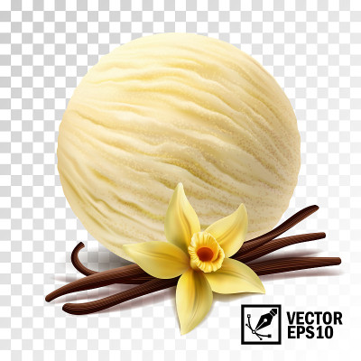 现实的矢量香草冰淇淋勺(香草花和棒子)