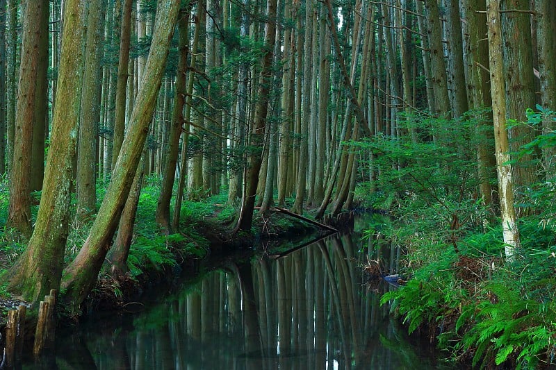 山形县夏河