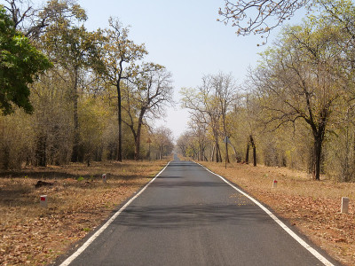 tadoba andhari老虎保护区的道路和植被