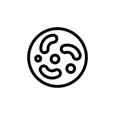艺术和插图
