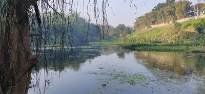 湖