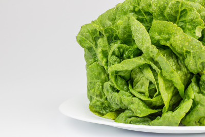 新鲜的生菜叶子