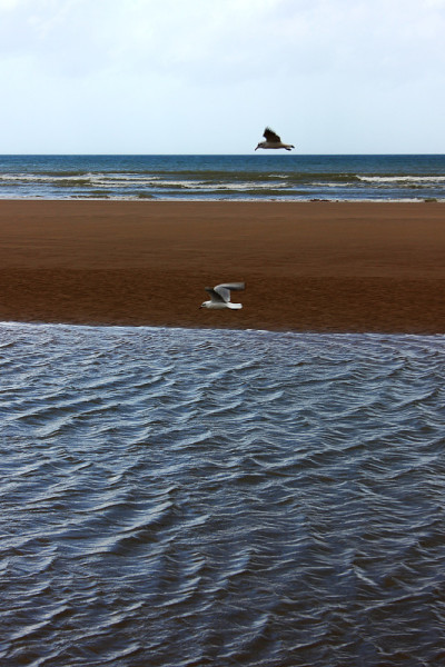 诺曼底登陆海滩
