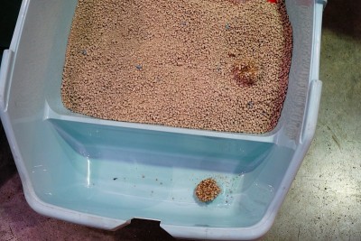 猫厕用猫砂盒