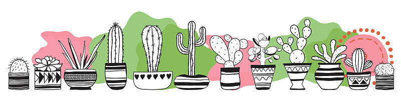 Cacti set . Vector