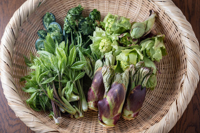 混合传统日本野菜