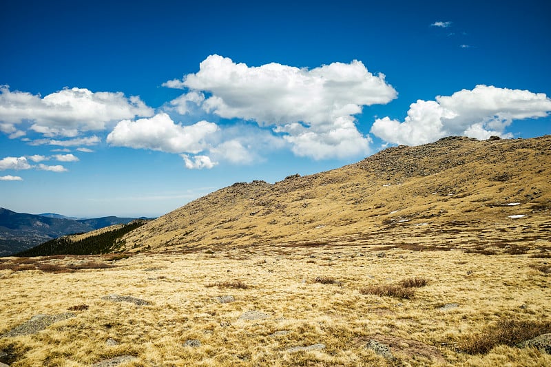 科罗拉多州埃文斯山荒野的风景