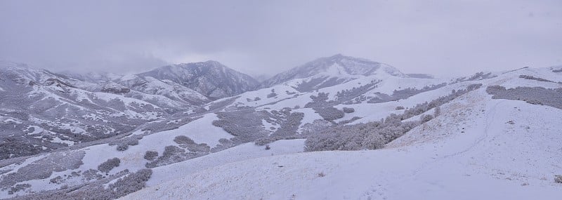 在犹他州盐湖城，通过沃萨奇前落基山脉的博纳维尔海岸线步道，小黑峰徒步步道可以看到冬天的雪景。美国。