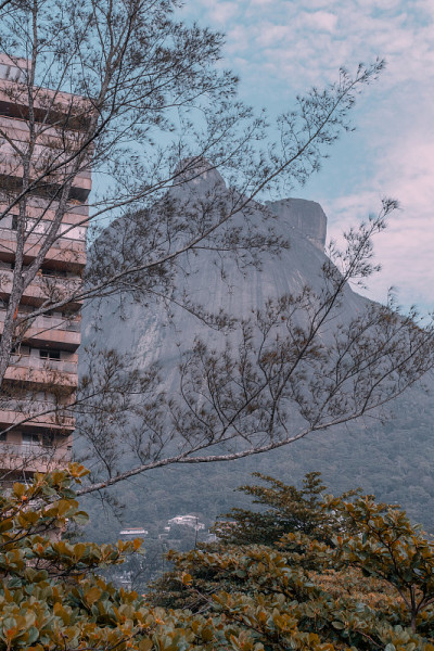 里约热内卢Sao Conrado住宅区的景观