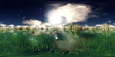 360°全景大湖泊与白云和水草