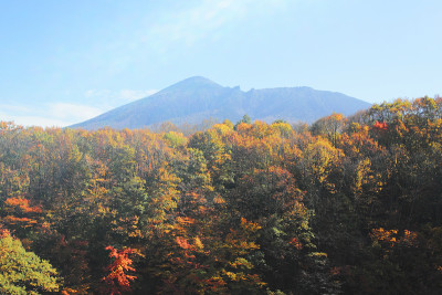 五颜六色的叶子和岩手山