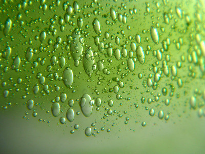绿色的油滴在水中。不同大小的气泡在绿色抽象背景上
