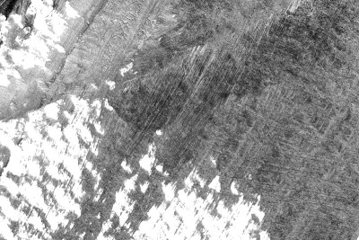 采用罗夏墨迹法在白纸背景上绘制黑白抽象丙烯绘画色彩纹理