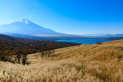 Susukinohara和Fuji3的风景
