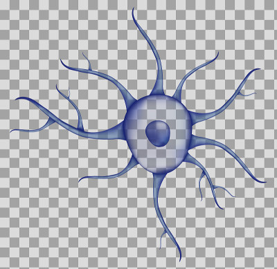 3d透明背景上分离出的蓝色人类神经元。现实的矢量图。模板