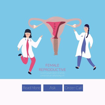 两位女医生正在谈论一位女性的生殖系统。网站页面。医学，女性的健康理念。