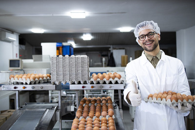 食品加工厂工人的肖像，带着发网和卫生手套拿着鸡蛋在工业运输和包装机器在食品加工厂。