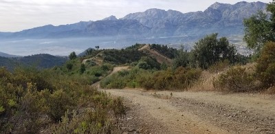 北非的一座山